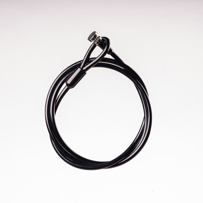 SECURITY CABLE