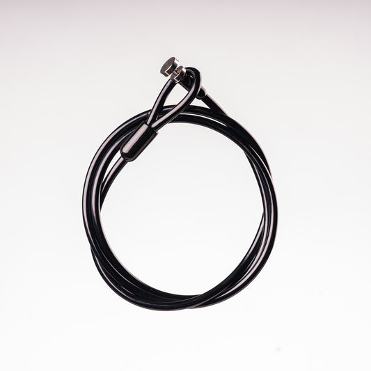 SECURITY CABLE